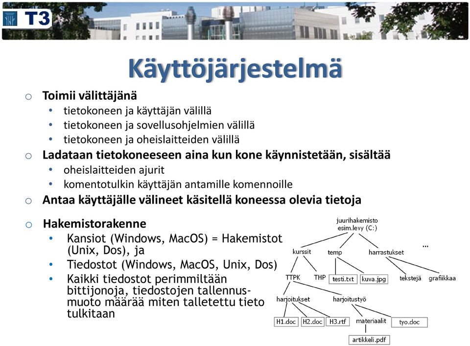 antamille komennoille o Antaa käyttäjälle välineet käsitellä koneessa olevia tietoja o Hakemistorakenne Kansiot (Windows, MacOS) = Hakemistot