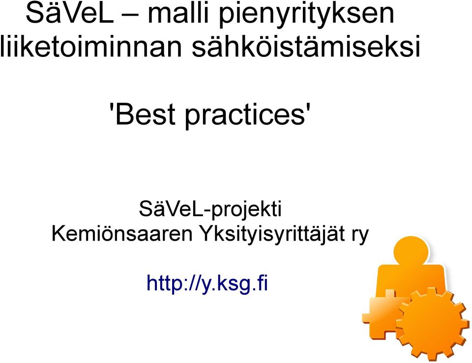 'Best practices' SäVeL-projekti