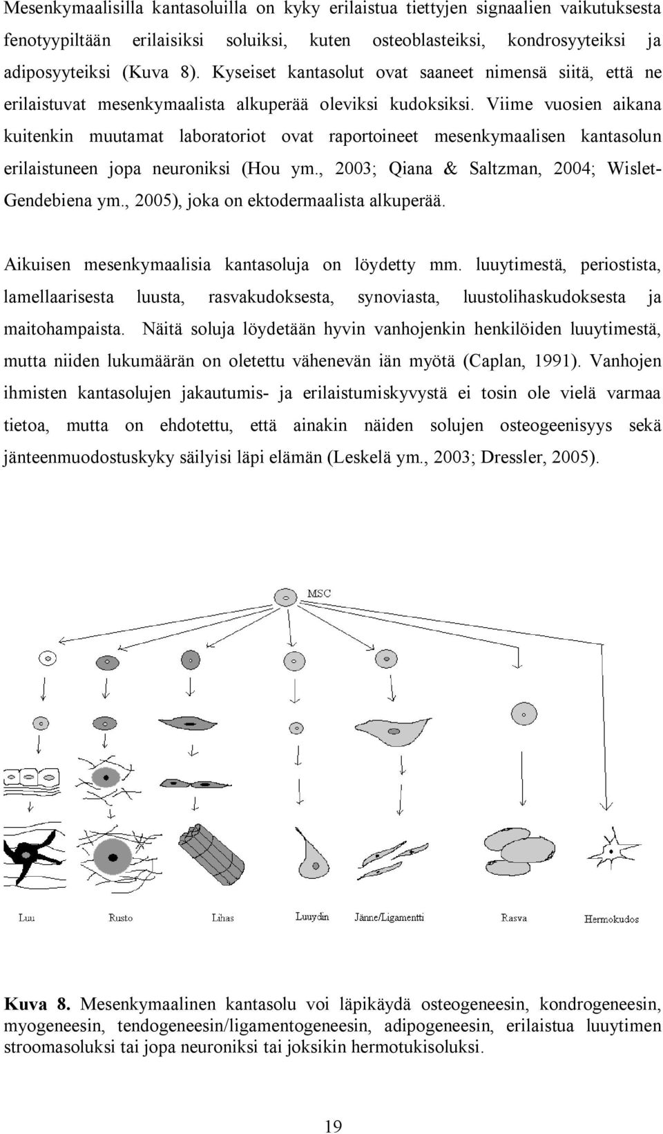Viime vuosien aikana kuitenkin muutamat laboratoriot ovat raportoineet mesenkymaalisen kantasolun erilaistuneen jopa neuroniksi (Hou ym., 2003; Qiana & Saltzman, 2004; Wislet- Gendebiena ym.