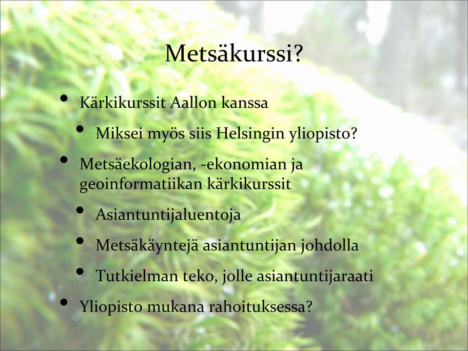 Metsäekologian, -ekonomian ja geoinformatiikan kärkikurssit