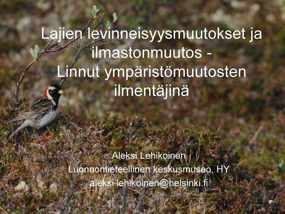 ilmentäjinä Aleksi Lehikoinen