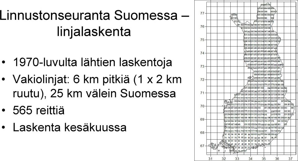 Vakiolinjat: 6 km pitkiä (1 x 2 km ruutu),