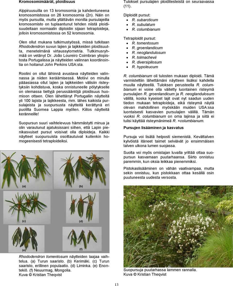 kromosomia. Olen ollut mukana tutkimustyössä, missä tutkitaan Rhododendron suvun lajien ja lajikkeiden ploidisuutta, menetelmänä virtaussytometria. Tutkimusryhmää on vetänyt Dr.