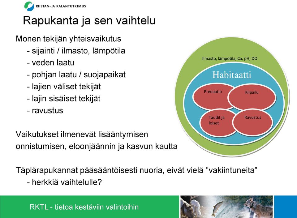 Habitaatti Predaatio Taudit ja loiset Kilpailu Ravustus Vaikutukset ilmenevät lisääntymisen onnistumisen,