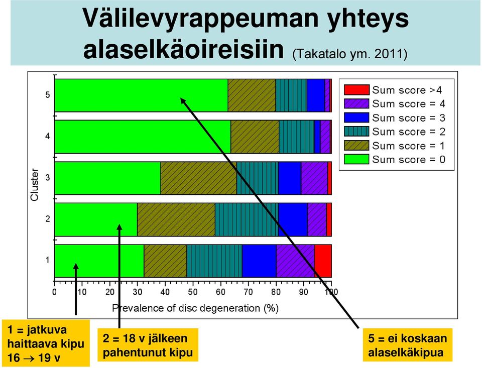 2011) 1 = jatkuva haittaava kipu 16 19