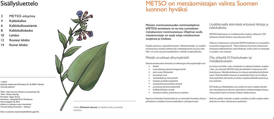 Suojelu perustuu vapaaehtoisuuteen. Metsänomistaja voi suojella omistamansa metsän kohteita joko määräaikaisesti tai pysyvästi. Hän voi myös myydä metsäkohteen valtiolle suojelualueeksi.