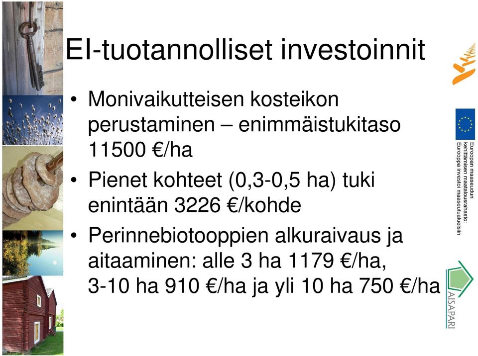 ha) tuki enintään 3226 /kohde Perinnebiotooppien alkuraivaus ja