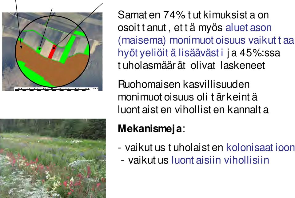 laskeneet Ruohomaisen kasvillisuuden monimuotoisuus oli tärkeintä luontaisten