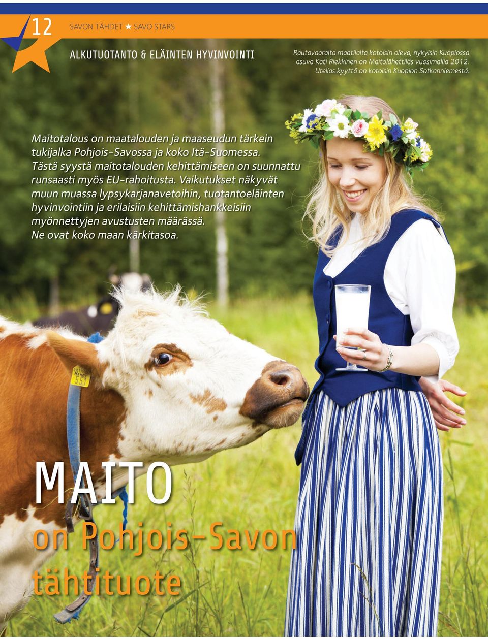 Maitotalous on maatalouden ja maaseudun tärkein tukijalka Pohjois-Savossa ja koko Itä-Suomessa.