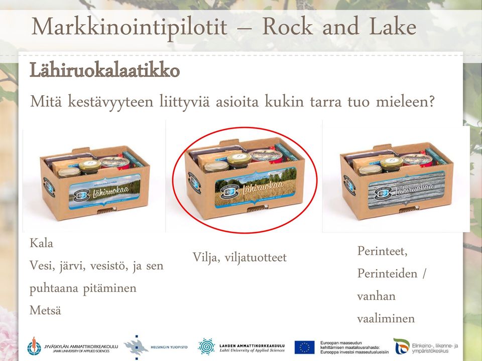 Kala Vesi, järvi, vesistö, ja sen puhtaana pitäminen Metsä