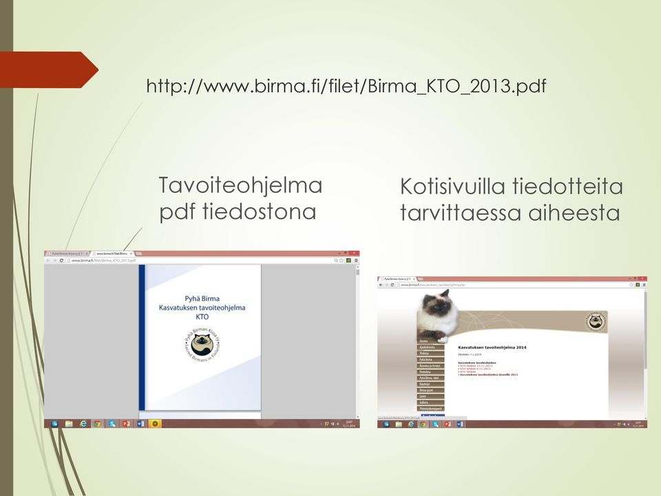 pdf Tavoiteohjelma pdf