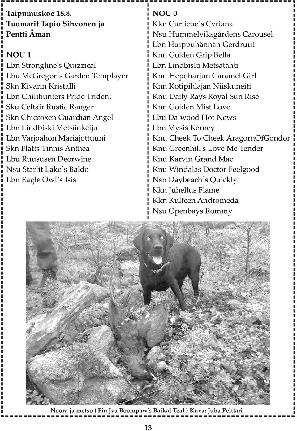 Guardian Angel Lbn Lindbiski Metsänkeiju Lbn Varjoahon Mariajottuuni Skn Flatts Tinnis Anthea Lbu Ruususen Deorwine Nsu Starlit Lake`s Baldo Lbn Eagle Owl`s Isis NOU 0 Kkn Curlicue`s Cyriana Nsu