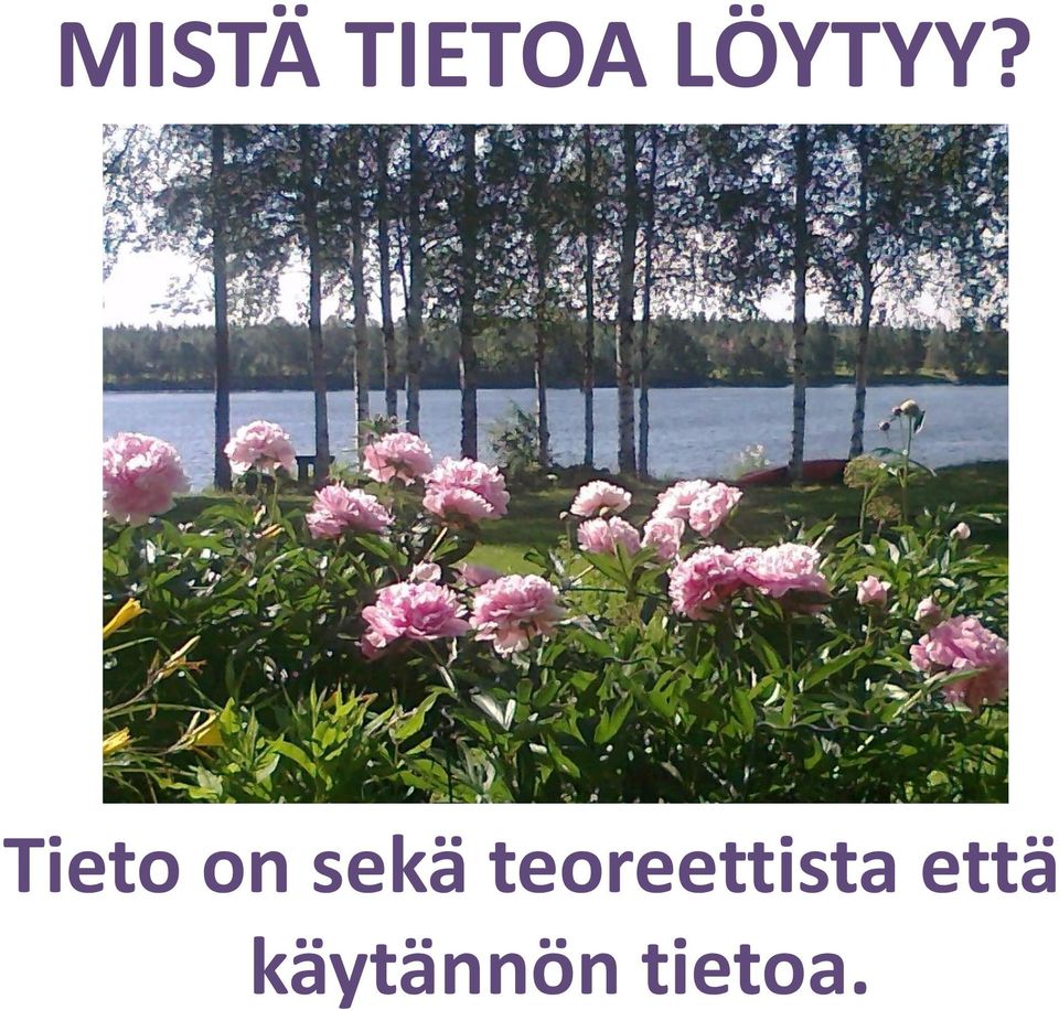 Tieto on sekä