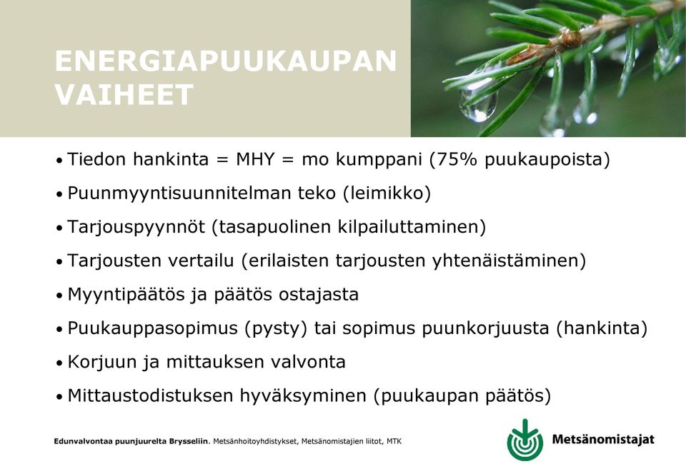 vertailu (erilaisten tarjousten yhtenäistäminen) Myyntipäätös ja päätös ostajasta Puukauppasopimus