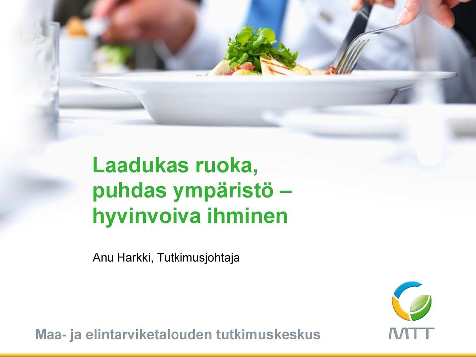 Anu Harkki, Tutkimusjohtaja