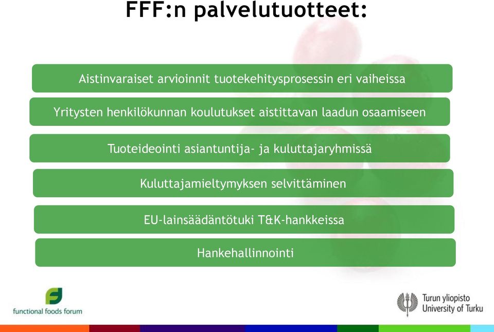 osaamiseen Tuoteideointi asiantuntija- ja kuluttajaryhmissä