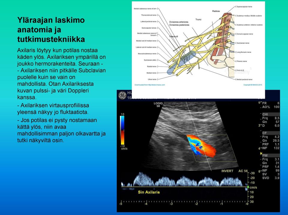 Otan Axilariksesta kuvan pulssi- ja väri Doppleri kanssa.