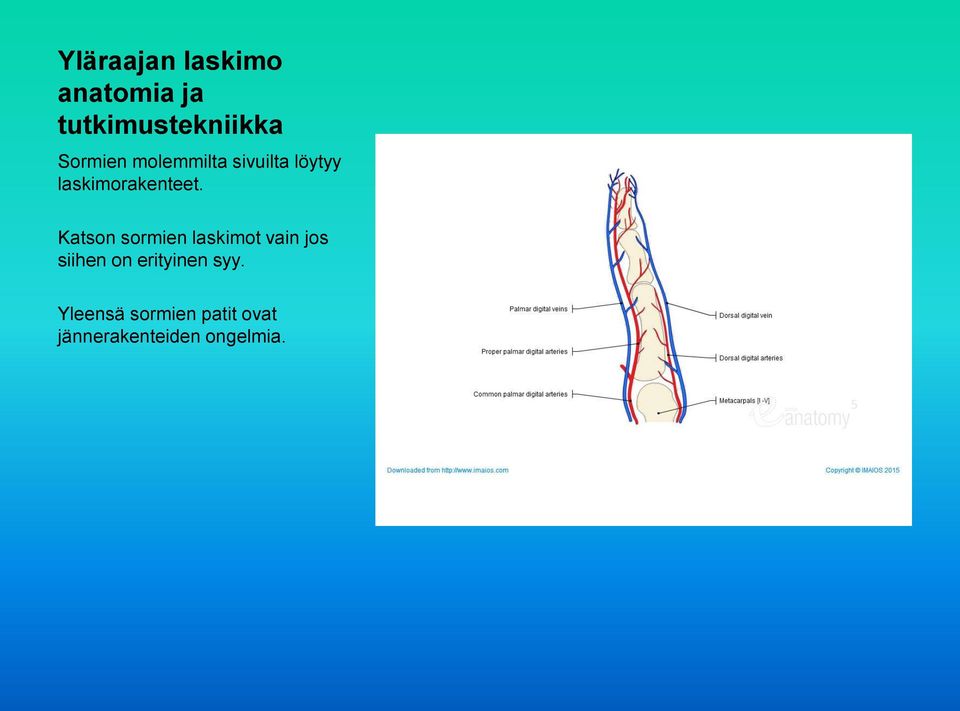 Katson sormien laskimot vain jos siihen