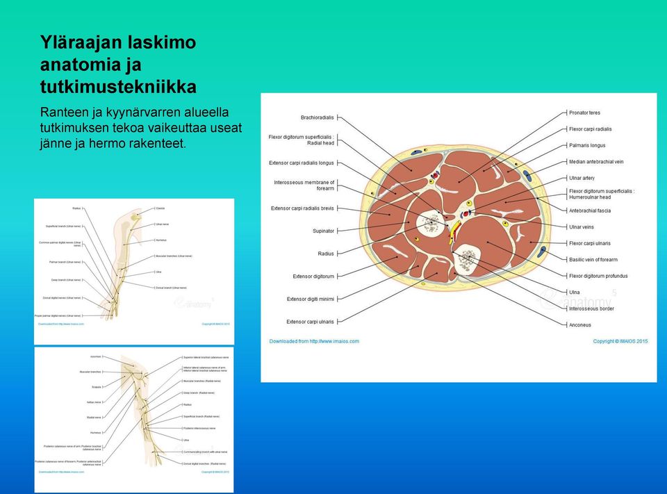 tekoa vaikeuttaa useat