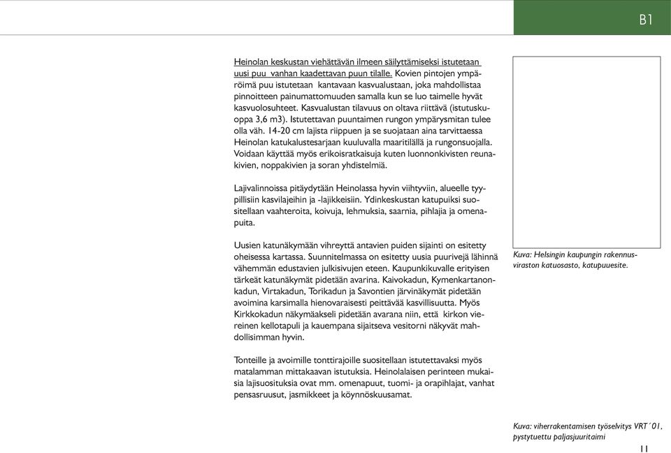 Kasvualustan tilavuus on oltava riittävä (istutuskuoppa 3,6 m3). Istutettavan puuntaimen rungon ympärysmitan tulee olla väh.