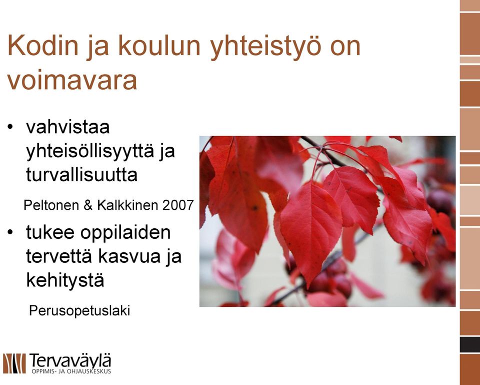 turvallisuutta Peltonen & Kalkkinen 2007