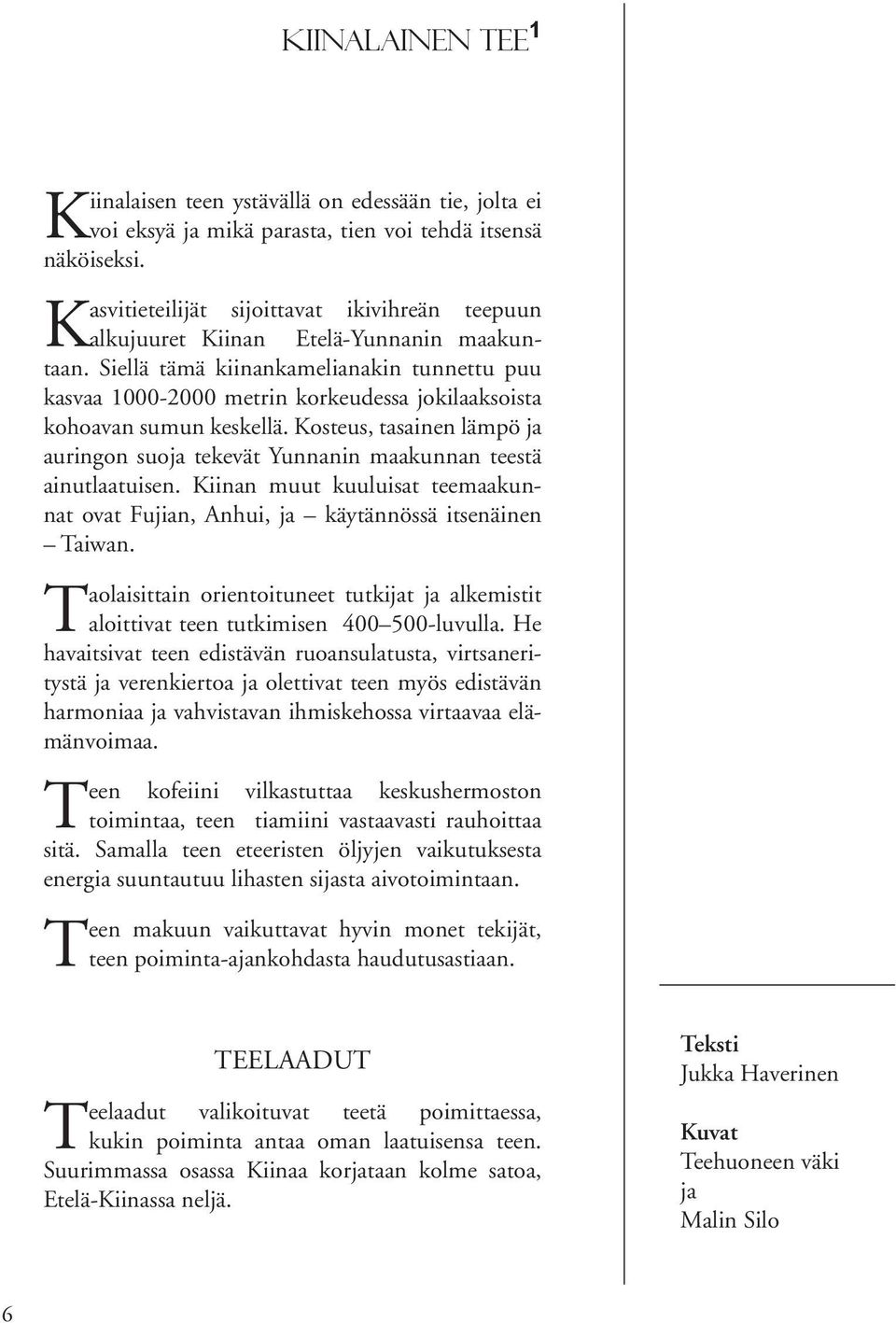 Siellä tämä kiinankamelianakin tunnettu puu kasvaa 1000-2000 metrin korkeudessa jokilaaksoista kohoavan sumun keskellä.
