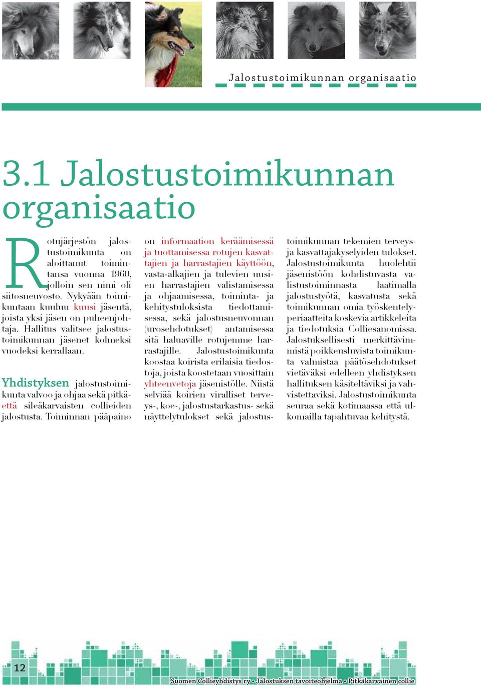 Yhdistyksen jalostustoimikunta valvoo ja ohjaa sekä pitkäettä sileäkarvaisten collieiden jalostusta.