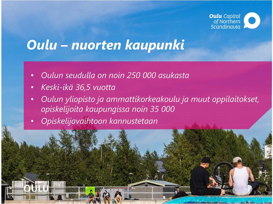 ammattikorkeakoulu ja muut oppilaitokset,