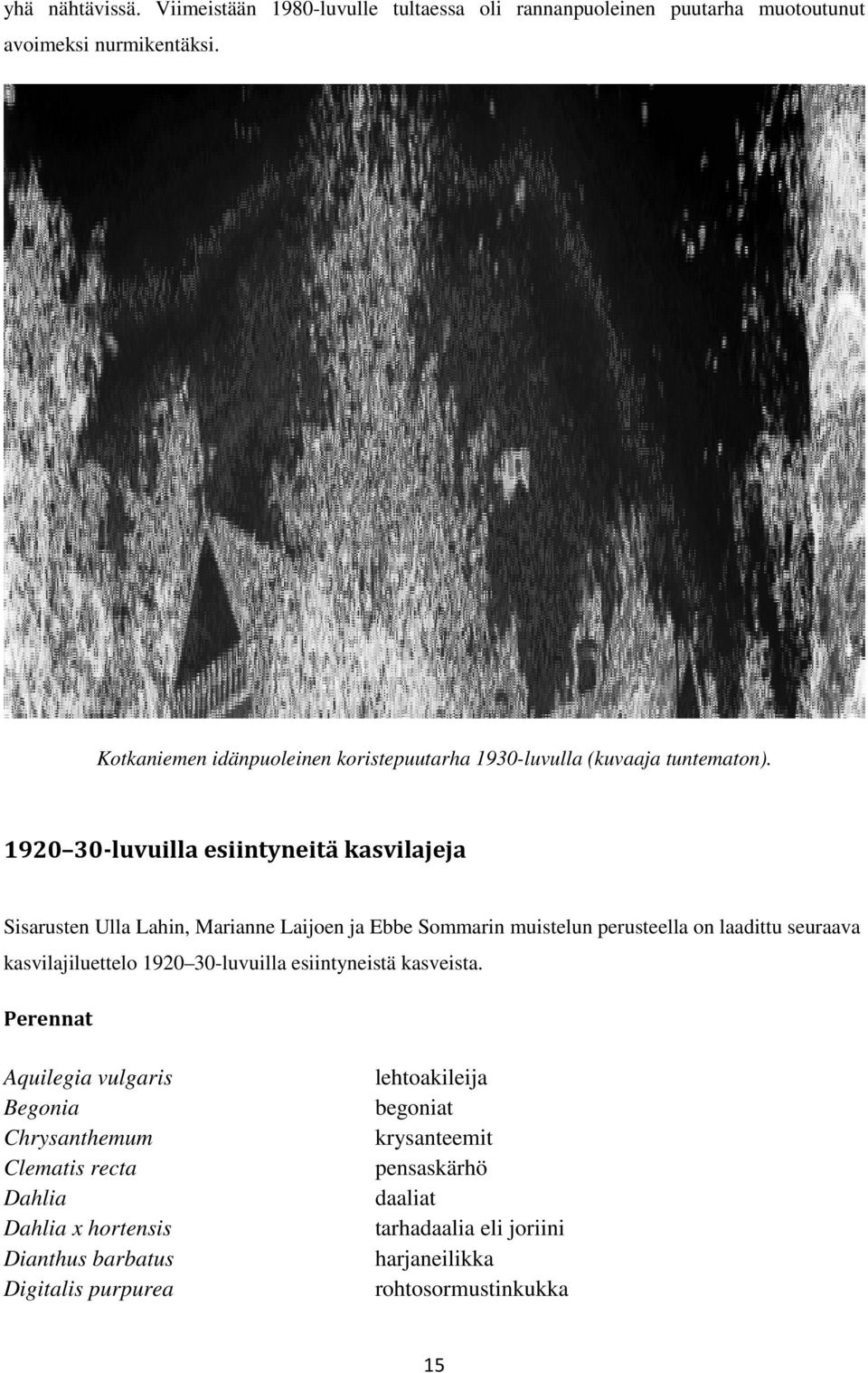 1920 30-luvuilla esiintyneitä kasvilajeja Sisarusten Ulla Lahin, Marianne Laijoen ja Ebbe Sommarin muistelun perusteella on laadittu seuraava kasvilajiluettelo