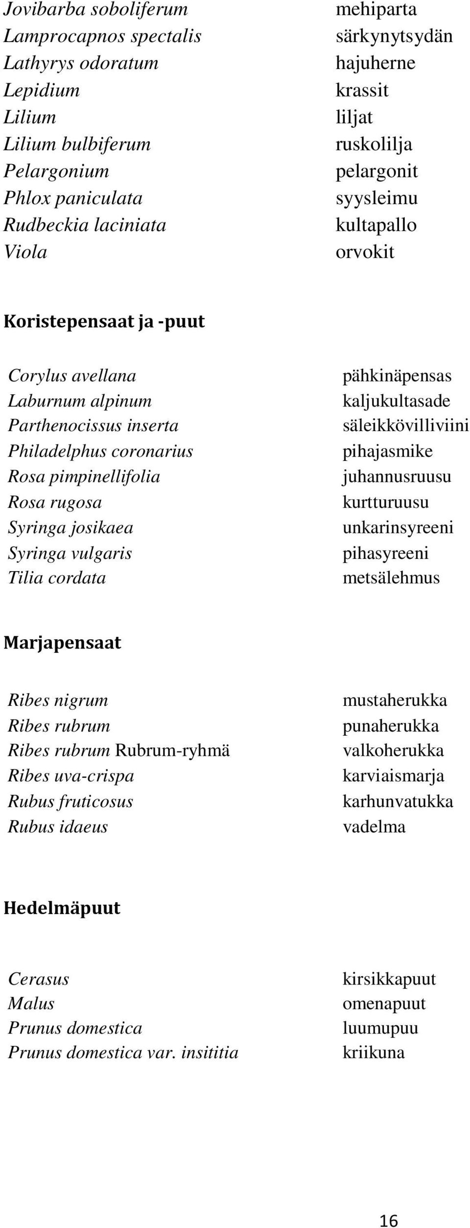 Syringa josikaea Syringa vulgaris Tilia cordata pähkinäpensas kaljukultasade säleikkövilliviini pihajasmike juhannusruusu kurtturuusu unkarinsyreeni pihasyreeni metsälehmus Marjapensaat Ribes nigrum