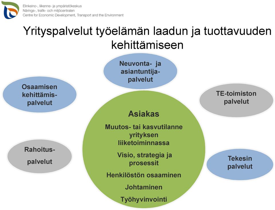 Muutos- tai kasvutilanne yrityksen liiketoiminnassa Visio, strategia ja