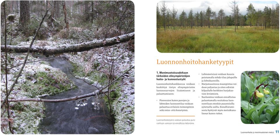 purojen ja lähteiden luonnontilaa voidaan palauttaa erilaisin toimenpitein sekä mies- että konetyönä. Lehtometsissä voidaan kuusia poistamalla tehdä tilaa jalopuille ja lehtokasveille.