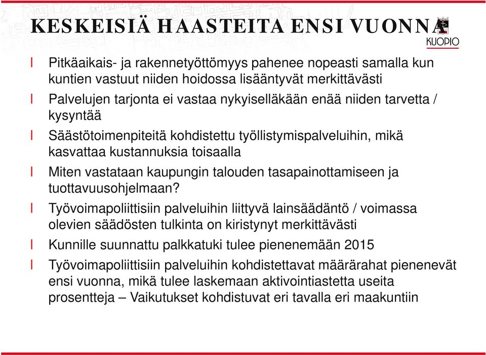 tasapainottamiseen ja tuottavuusohjemaan?