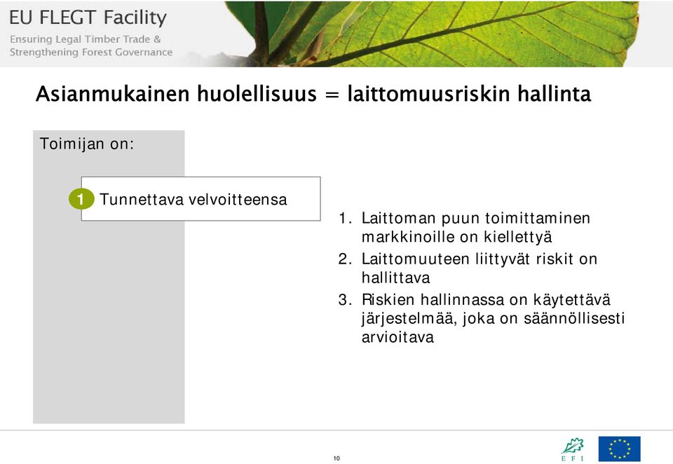 Laittoman puun toimittaminen markkinoille on kiellettyä 2.