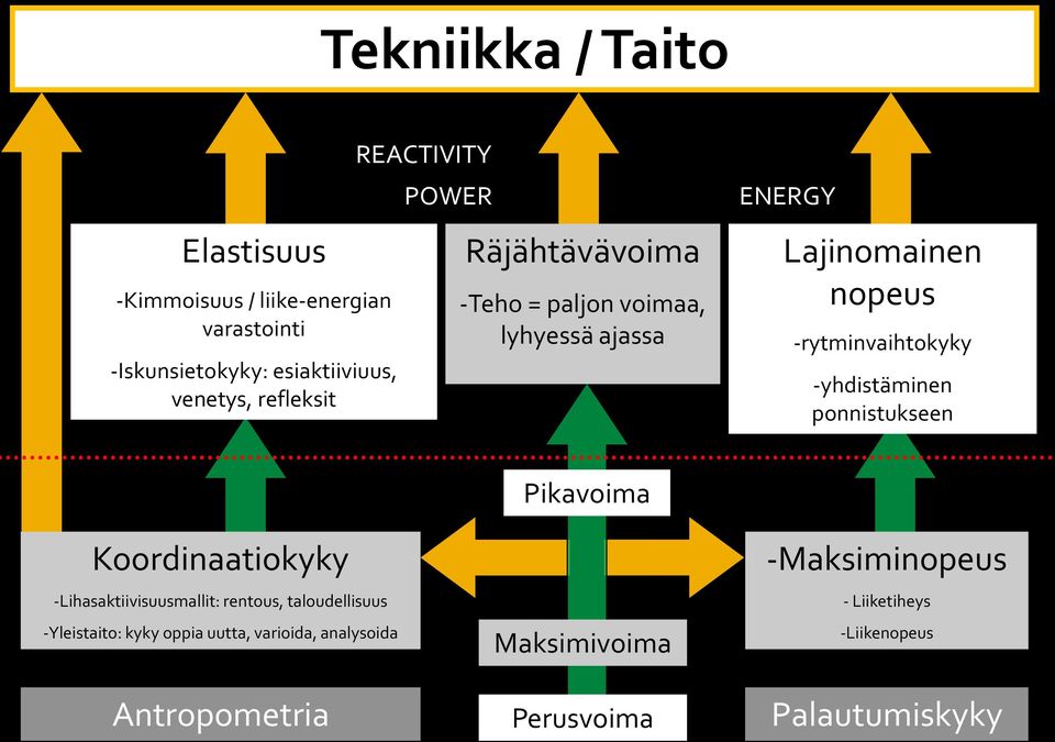 -yhdistäminen ponnistukseen Koordinaatiokyky -Lihasaktiivisuusmallit: rentous, taloudellisuus -Yleistaito: kyky oppia