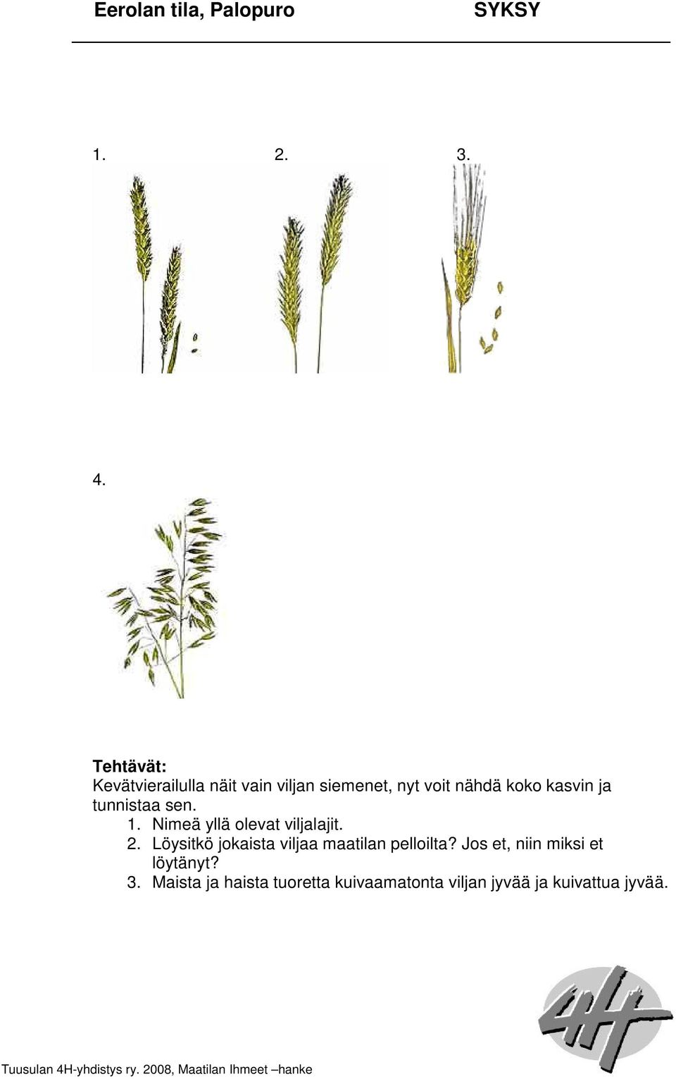 ja tunnistaa sen. 1. Nimeä yllä olevat viljalajit. 2.