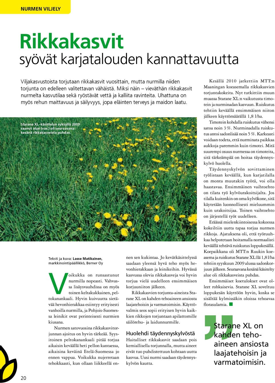 Starane XL -käsittelyn syksyllä 2009 saanut alue (vas.) oli seuraavana kesänä rikkakasveista puhdas.