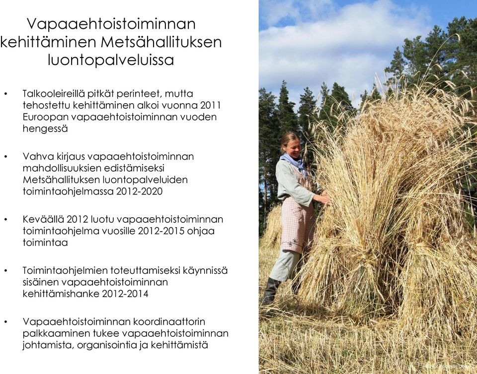 2012-2020 Keväällä 2012 luotu vapaaehtoistoiminnan toimintaohjelma vuosille 2012-2015 ohjaa toimintaa Toimintaohjelmien toteuttamiseksi käynnissä sisäinen