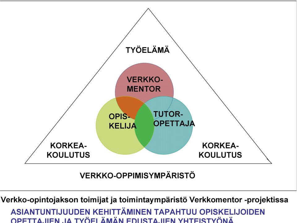Verkko-opintojakson toimijat ja toimintaympäristö