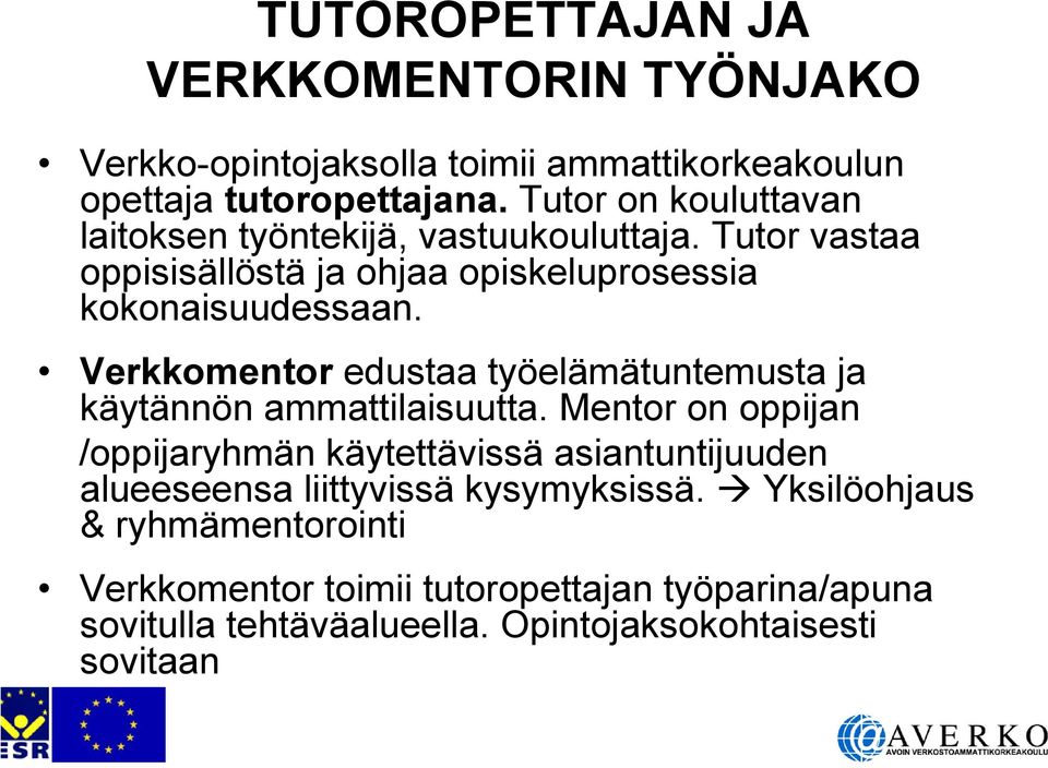 Verkkomentor edustaa työelämätuntemusta ja käytännön ammattilaisuutta.