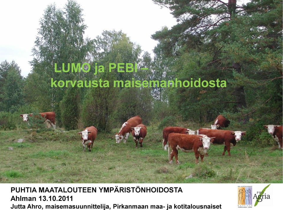 Ahlman 13.10.