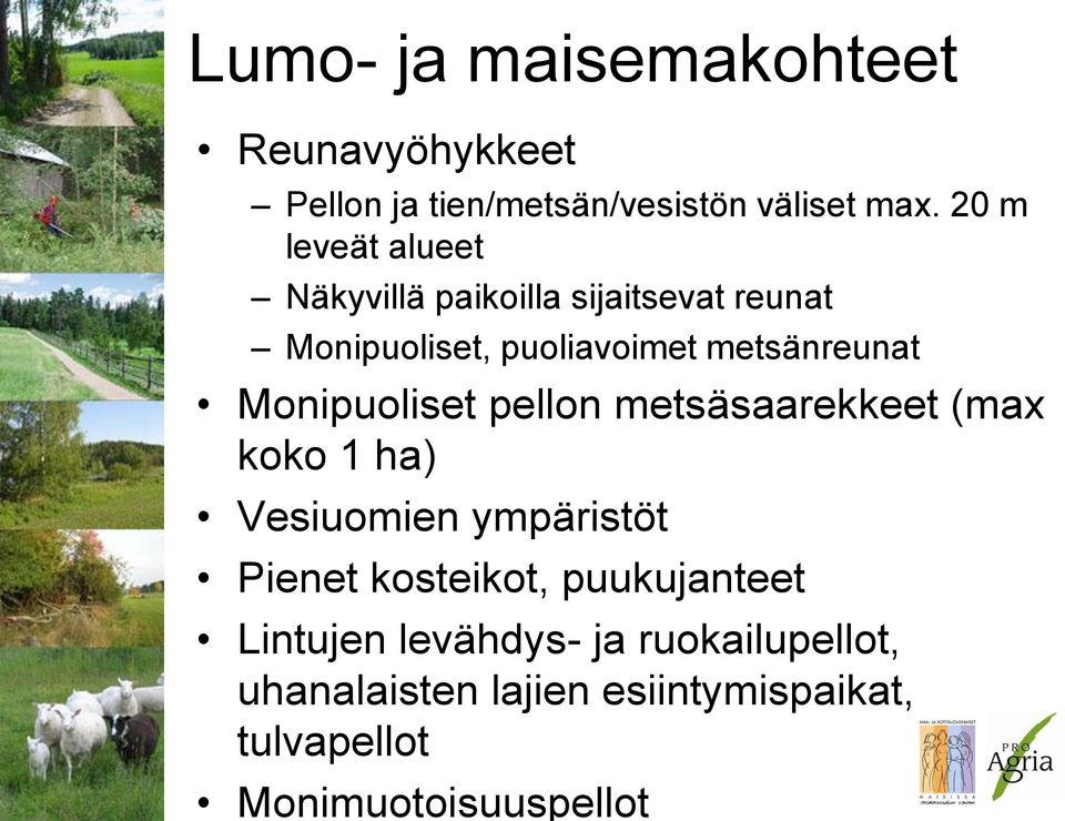 Monipuoliset pellon metsäsaarekkeet (max koko 1 ha) Vesiuomien ympäristöt Pienet kosteikot,