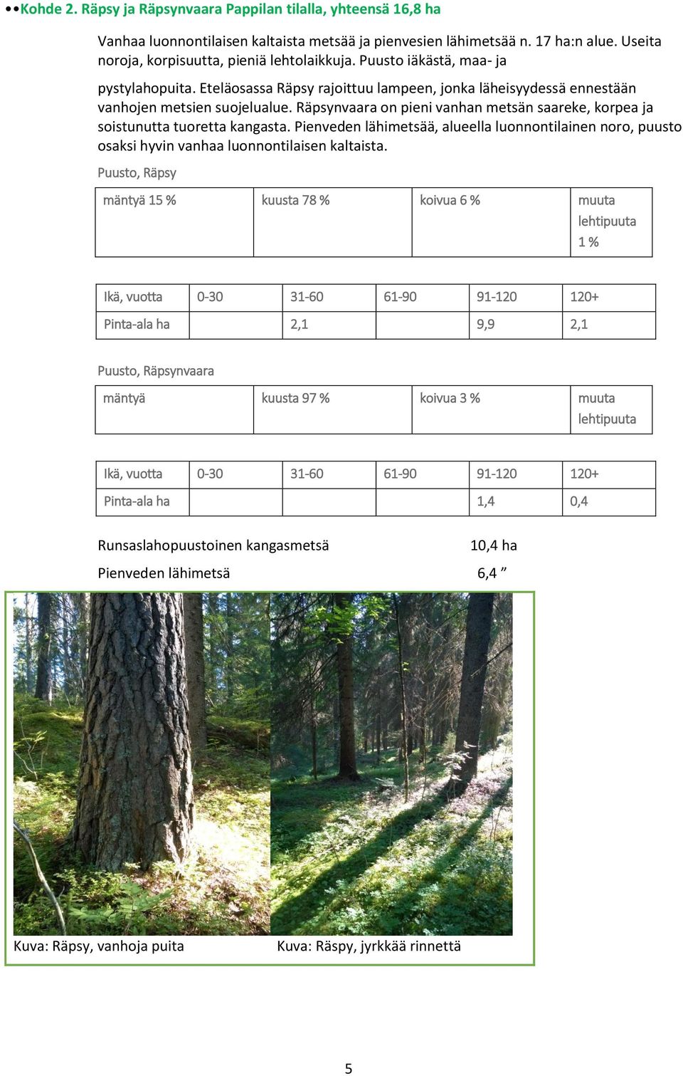 Räpsynvaara on pieni vanhan metsän saareke, korpea ja soistunutta tuoretta kangasta. Pienveden lähimetsää, alueella luonnontilainen noro, puusto osaksi hyvin vanhaa luonnontilaisen kaltaista.