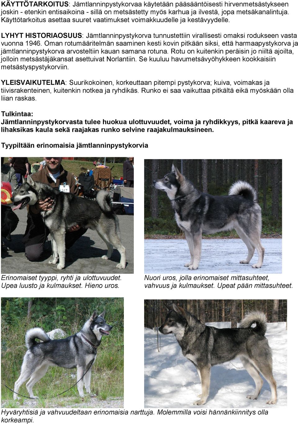 Oman rotumääritelmän saaminen kesti kovin pitkään siksi, että harmaapystykorva ja jämtlanninpystykorva arvosteltiin kauan samana rotuna.