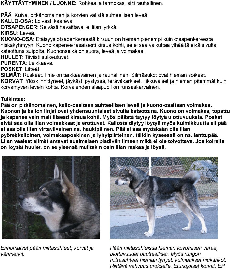 Kuono kapenee tasaisesti kirsua kohti, se ei saa vaikuttaa ylhäältä eikä sivulta katsottuna suipolta. Kuononselkä on suora, leveä ja voimakas. HUULET: Tiiviisti sulkeutuvat. PURENTA: Leikkaava.
