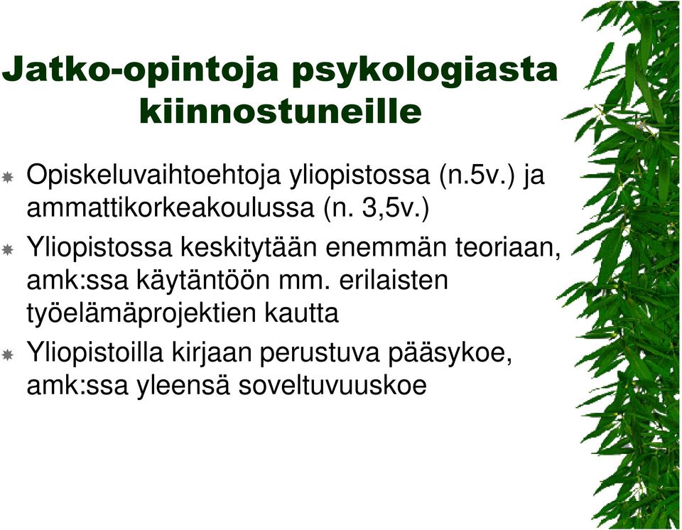 ) Yliopistossa keskitytään enemmän teoriaan, amk:ssa käytäntöön mm.