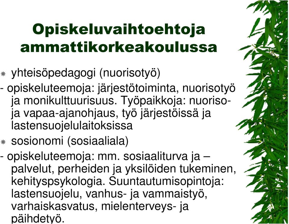 Työpaikkoja: nuorisoja vapaa-ajanohjaus, työ järjestöissä ja lastensuojelulaitoksissa sosionomi (sosiaaliala) -