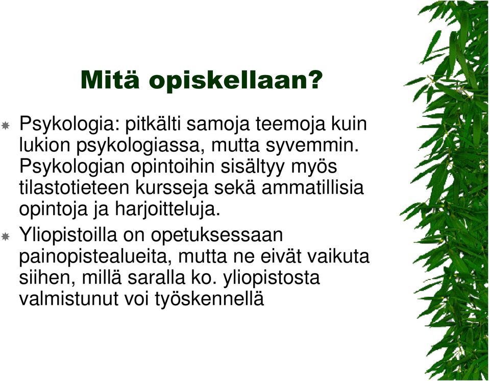 Psykologian opintoihin sisältyy myös tilastotieteen kursseja sekä ammatillisia