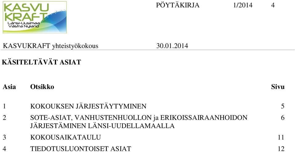 VANHUSTENHUOLLON ja ERIKOISSAIRAANHOIDON JÄRJESTÄMINEN