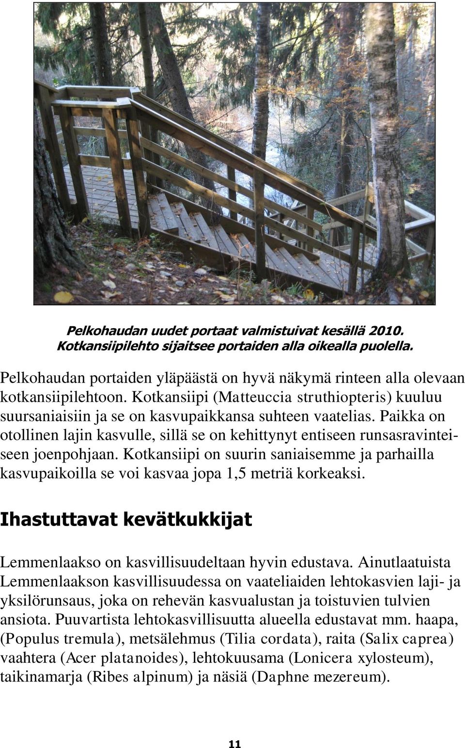 Paikka on otollinen lajin kasvulle, sillä se on kehittynyt entiseen runsasravinteiseen joenpohjaan.